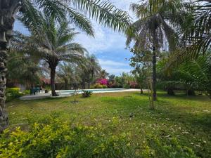a park with palm trees and a swimming pool at La Maison Ardiana in Oussouye
