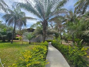 a walking path through a park with palm trees at La Maison Ardiana in Oussouye +7 photos
