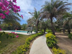 two dogs standing by a swimming pool with palm trees at La Maison Ardiana in Oussouye