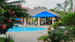 a blue umbrella next to a swimming pool at Ocean Dream in Cabarete