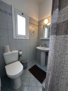 a bathroom with a toilet and a sink at Elia II in Kondoliánika