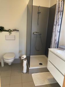 a bathroom with a shower and a toilet at Halakot guesthouse in Laugardælir