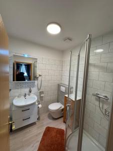 a bathroom with a toilet and a sink and a shower at Hellwig Ferienwohnung 1 in Bernburg +32 photos