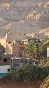 a village in the desert with palm trees and mountains at Luxor Family Home in Naj‘ ar Rizqah
