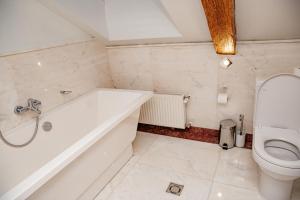 a bathroom with a tub and a toilet at Kukšu muiža in Kukšas +57 photos