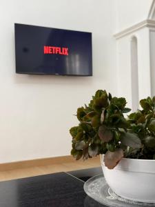 a plant sitting on a table in front of a tv at Marl's Home in Berat