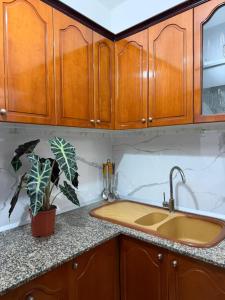 a kitchen counter with a sink and a potted plant at Marl's Home in Berat +36 photos