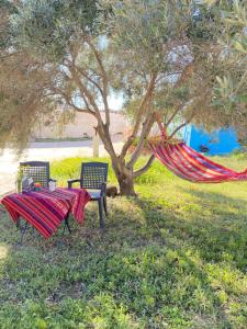 a table and chairs under a tree with a hammock at Casa Latina in Moralet