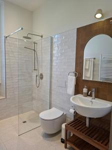 a bathroom with a toilet and a sink and a shower at Villa Grappoli Apt MAGGIORE with lake view in Lesa +30 photos