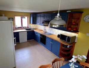a kitchen with blue cabinets and a microwave at Priory Stream, Lower Priory, Pembrokeshire in Milford Haven