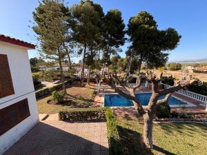 a house with a tree next to a swimming pool at Mediterranean House in Valencia in Valencia