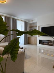 a living room with a large green plant at Perlina Naxxar in Naxxar