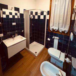 a bathroom with a shower and a sink and a toilet at Il Girasole in Campi Bisenzio