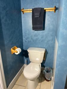 a bathroom with a white toilet and a blue wall at Bennett Lodge in Daniels Harbour +27 photos