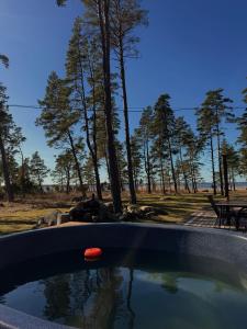 a pool of water with a red ball in it at Hidden Hiiumaa Seaside Cottage in Kõrgessaare