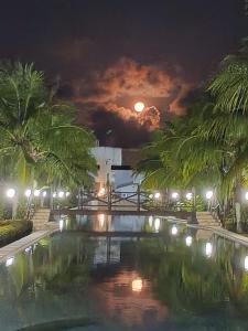 a night view of a pool with palm trees at Casa Bela in Itamaracá +7 photos
