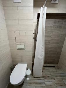 a bathroom with a toilet and a shower curtain at Apartments ,,Morena'' Melnragė in Melnragė +10 photos
