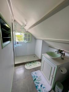 a small bathroom with a sink and a shower at La porte bleue in Baie-Mahault