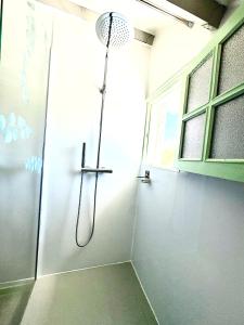 a shower in a bathroom with a glass door at La porte bleue in Baie-Mahault +5 photos