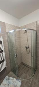 a shower with a glass door in a bathroom at Arany-Lak Hajdúszoboszló in Hajdúszoboszló