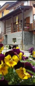 a group of yellow and purple flowers in front of a building at Holiday home Désirée in Sorico