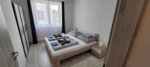 a bedroom with a bed and a large window at Arany-Lak Hajdúszoboszló in Hajdúszoboszló