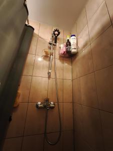 a bathroom with a shower with a hose at Station and Border Comfort Art and Cats Inn - Комфорт у вокзала и границы Арт и Кот in Narva +54 photos
