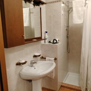 a bathroom with a sink and a shower at Agriturismo Praetto in Marcon