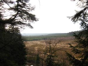 Paesaggio naturale nelle vicinanze del bed & breakfast