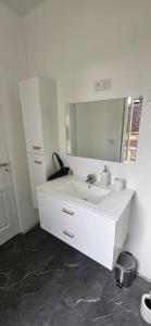 a white bathroom with a sink and a mirror at Studio moderne cosy Centre-ville in Auxerre