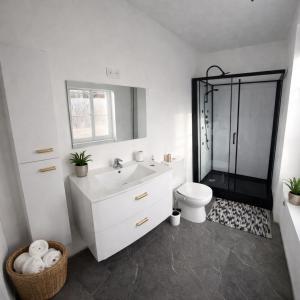 a bathroom with a toilet and a sink and a shower at Studio moderne cosy Centre-ville in Auxerre