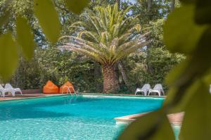 a swimming pool with chairs and a palm tree at Camping la Peiriere - Évasion en Dôme in Tuchan