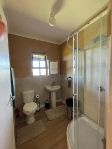 a bathroom with a toilet and a shower and a sink at Wilderness Escape with breathtaking Views in Wildernis