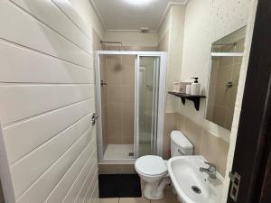 a bathroom with a shower and a toilet and a sink at Nestled sanctuary in Northriding