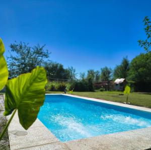 a blue swimming pool with a green leaf next to it at Cabaña Mitimay in Alta Gracia