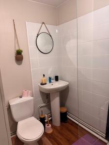 a bathroom with a sink and a toilet and a mirror at Saint Malo centre lambety in Saint Malo