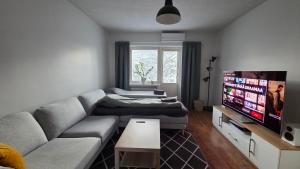 a living room with a couch and a flat screen tv at Kaksio Kimpisessä in Lappeenranta