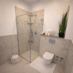 a shower stall with a toilet in a bathroom at Apartment im schönen Taunus in Dickschied