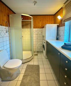 a bathroom with a toilet and a shower and a sink at Barts house in Länshult