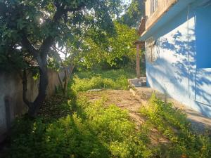 a yard next to a blue building with a tree at Casa em Araruama com 3 quartos e muito arejada in Araruama