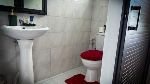 a bathroom with a white sink and a toilet at Le Verger Sur Mer in Flic-en-Flac +17 photos