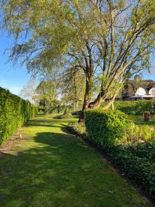 a path through a park with trees and bushes at Villa France in Sevenum