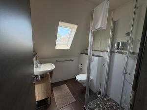 a bathroom with a shower and a toilet and a sink at Gästehaus Eifelzauber in Kelberg +37 photos