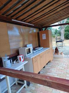 an outdoor kitchen with a counter and a microwave at Vila Puskin - Eforie Sud in Eforie Sud