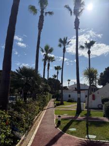 a group of palm trees on a sidewalk at Apartamento Cala En Bosch B10 in Cala en Bosc