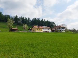 a group of houses in a field of green grass at Sommerholz in Gmundnerberg
