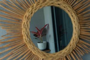 a wicker mirror with a potted plant in front of it at BUKU BUKU by Bara Beach in Galle +5 photos