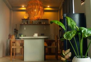 a kitchen with a counter and some plants in a room at BUKU BUKU by Bara Beach in Galle