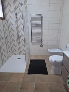 a bathroom with a shower and a toilet and a sink at Cantinho do Lello in Bragança