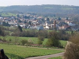 a woman sitting on a bench looking at a village at Ferienwohnung Kany in Bliesmengen-Bolchen